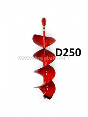    250   D20 